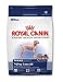 Royal Canin Maxi Aging Care Dry Dog Food 30lb