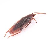 Halloween Silica Gel Cockroach Props