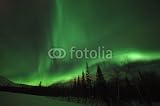 Wallmonkeys Peel and Stick Wall Decals - Aurora Polaris above the Forest - Removable Graphic