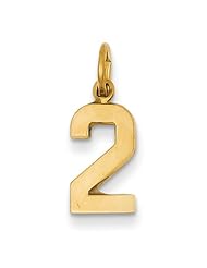 14k Yellow Gold Casted Small Polished Number 2 Charm Pendant. Metal Wt- 0.57g