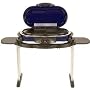 Coleman RoadTrip Grill - Blue/ Black