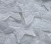 Butterfly Shaped Silk Rose Petals Wedding Favors - 200 Ct - White