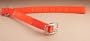 Hallmark� Safety Collar Reflective Orange