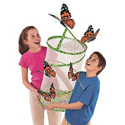 Butterfly Pavilion by Insect Lore