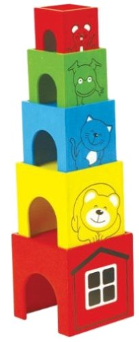 Childrens Toyshop   : Pintoy Wooden Hide & Seek Cubes