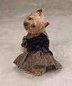 XXS Special Occasion Velvet Tartan Holiday Dog Dress