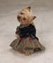 Zack & Zoey Tartan Holiday Dress Xlg