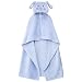 Blue Puppy Hooded Baby Blanket