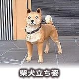 �Ƹ�Ω���ѡ�nej3001