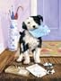 Royal Brush Junior Small Paint By Number Kit 8 3/4" X 11 3/4" The Mail Menace PJS44; 3 Items/Order