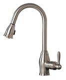 Pegasus FP0A5013BNV Newbury Pull-Out Spray Kitchen Faucet, Brushed Nickel