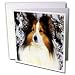   - Dogs Sheltie/Shetland Sheepdog - Sheltie - Greeting Cards-12 Greeting Cards with envelopes