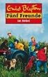 F�nf Freunde im Nebel. F�nf Freunde Bd 17