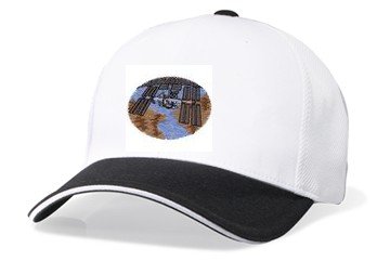 Embroidered White Cap - international space station