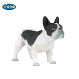 French Black & White Bulldog PPO54006