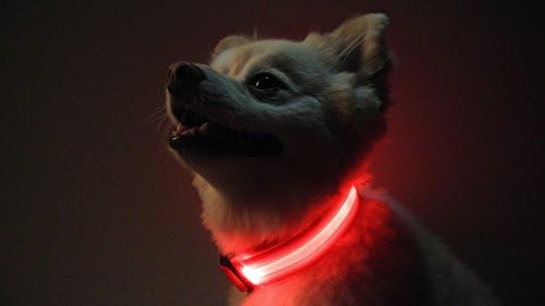 The Pet Hut - High Quality USB Rechargeable LED Dog Safety Glow Collar *SEE DETAILS FOR 25% OFF PROMO* - 4 Colors And 3 Sizes! (Red Large)