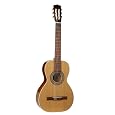 La Patrie Guitar, Motif