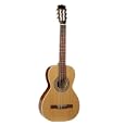 La Patrie Guitar, Motif