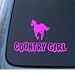COUNTRY GIRL - Western - Car, Truck, Notebook, Vinyl Decal Sticker #1198 | Vinyl Colo...