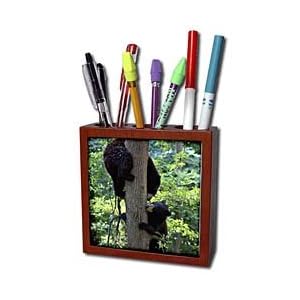 WhiteOak Photography-Bears - Two bears in tree playing - Tile Pen Holders-5 inch tile pen holder
