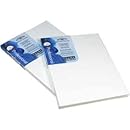 Winsor and Newton Artists' Stretched Canvas, Cotton, 10 x 14 Inches (6005112)
