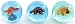 Toys : Dinosaur Bouncy Ball