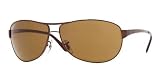 Review   / RAY BAN 3342 014/57 BROWN POLARIZED SUNGLASSES