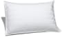 Pinzon Pyrenees Medium Density White Goose Down King Pillow