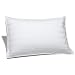 Pinzon Pyrenees Medium Density White Goose Down Standard Pillow