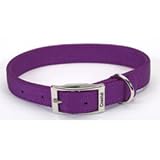 Coastal Pet Double-Ply Nylon Dog Collar (Purple, 22 Inch L x 1 Inch W)