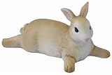 タカショー ドワーフ うさぎ C