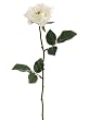 Club Pack of 24 Artificial Single Cream Rose Silk Flower Sprays 23"