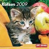Cats 30x30 Calendar