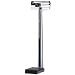 The Best Physician's Beam Scale.