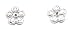White Ice - Sterling Silver Daisy set with Diamonds in the Middle Earrings