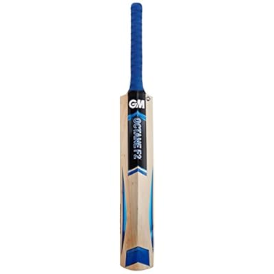 GM Octane F2 Striker Kashmir Willow Cricket Bat, Short Handle