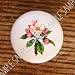 MICHIGAN APPLE BLOSSOM FLOWERS DRAWER PULLS KNOBS