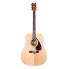 Acoustic Guitars