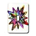 Florene Spiritual Energy - Radical - Light Switch Covers - single toggle switch