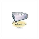 IMAGE OF Sacro-Support Premier Florence Firm Bed Mattress Boxspring: Included, Mattress Size: Twin