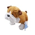 WEBKINZ BULL DOG GANZ HM126