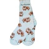 For Bare Feet Pair of Pomeranian Socks Dog White Size 9-11