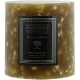 Archipelago Botanicals 3.5 x 3.5 Pillar Candle: Madagascar