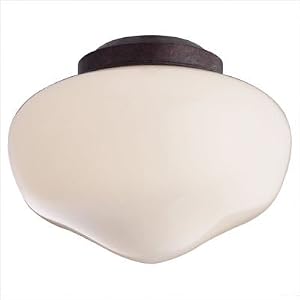 9 Schoolhouse Ceiling Fan Light Kit in Old Chicago by 