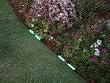 Amber Solar Pathway Accent Lights (set of two)
