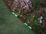 White Solar Pathway Accent Lights (set of two)