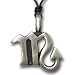 Pendant Necklace Zodiac SCORPIO Sign