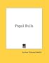 Papal Bulls