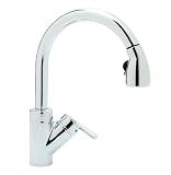 Blanco 440618 BlancoRados Kitchen Spray Faucet