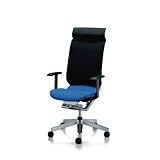 kokuyo AGATA/A(�A�K�^�G�[)�`�F�A�[ �w�b�h���X�g�t���^�C�v �s�^�I�t ���f���[�g�u���[(�w�t�@�u���b�N�E�V���o�[�t���[��) W670�~D600�~H1165-1275mm